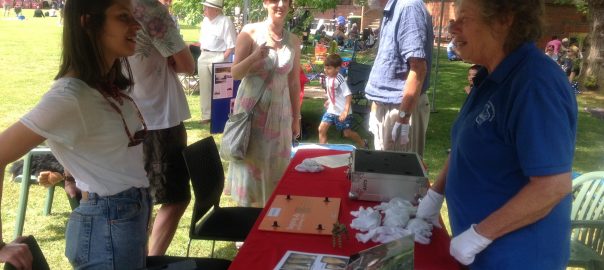Members running Ure Museums object handling activity